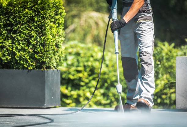 Best Dumpster Area Cleaning  in San Lorenzo, CA