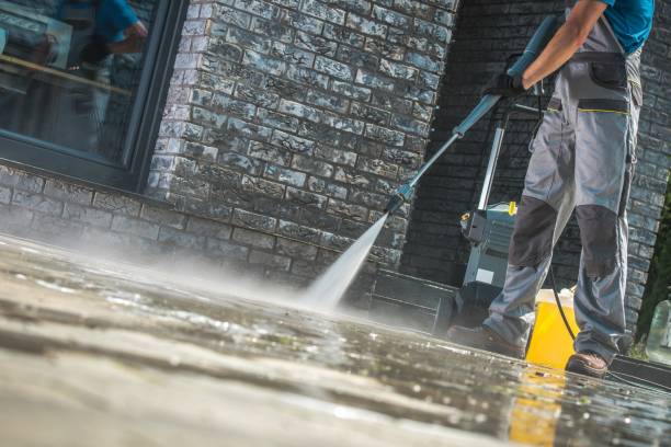 Best Gutter Cleaning  in San Lorenzo, CA