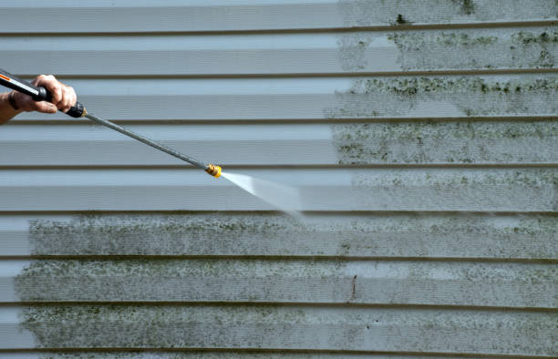 Best Patio and Deck Pressure Washing  in San Lorenzo, CA