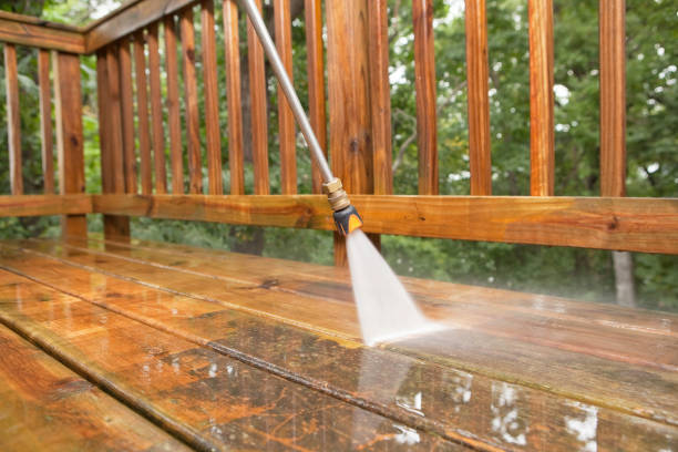 Best Driveway Pressure Washing  in San Lorenzo, CA
